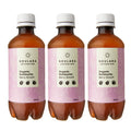 Organic Kombucha Berry Smash Pack of 3